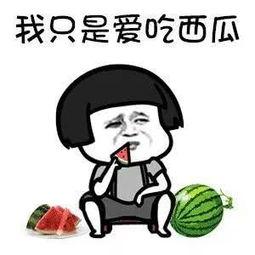 还是吃瓜最快乐,揭秘快乐源泉的奥秘