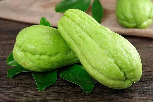 发烧可以吃朴芦瓜,朴芦瓜助力身体恢复