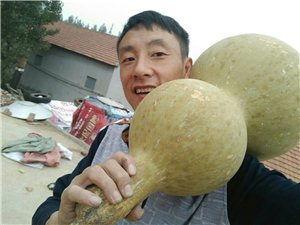 沂水吃瓜事件视频,一场网络热议背后的真相揭秘