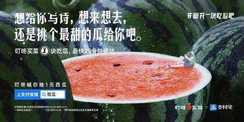 吃瓜烤火的文案