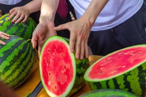 南宁院校吃瓜,校园美食瓜事大盘点