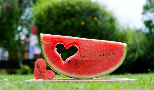 看花吃瓜诗句大全,经典诗句大盘点