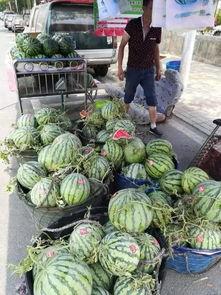 郫县吃瓜消息事件,一场网络舆论的风暴与反思