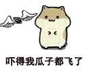 松鼠吃瓜表情,萌态百出，趣味横生